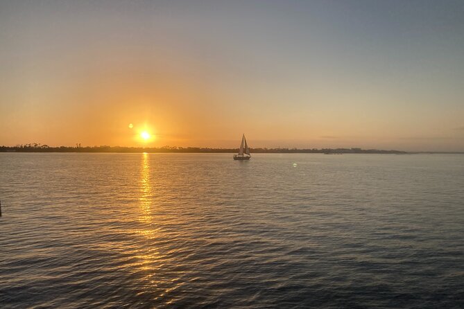 2 Hour Private Dolphin Sightseeing Tour - Hosts and Personal Service: Why It Feels Like a Real Charters