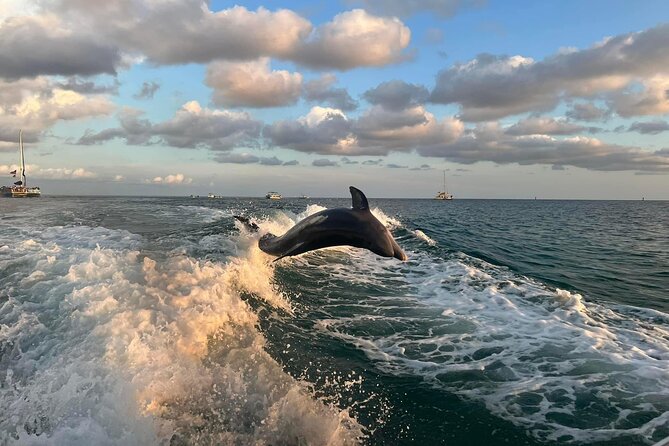 2 Hour Private Dolphin Sightseeing Tour - The 2-Hour Route Around Shell Island and the Gulf