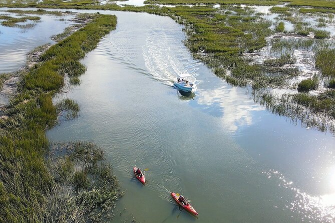2-Hour Private Hilton Head Dolphin Watching Cruise - Quick highlights to decide fast