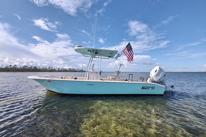 2-Hour Private Sightseeing Dolphin Tour in Panama City Beach - Key highlights you should care about