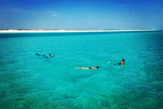 2-Hour Private Sightseeing Dolphin Tour in Panama City Beach - Snorkeling setup: what’s included and how to plan for the splash