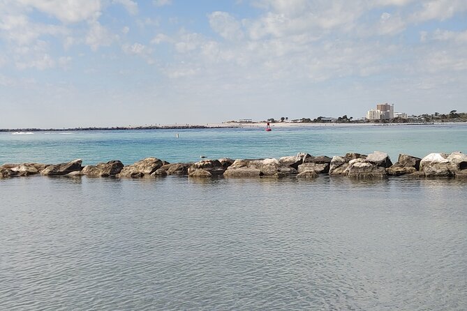 2-Hour Private Sightseeing Dolphin Tour in Panama City Beach - Wildlife spotting: dolphins, turtles, and the fun surprises