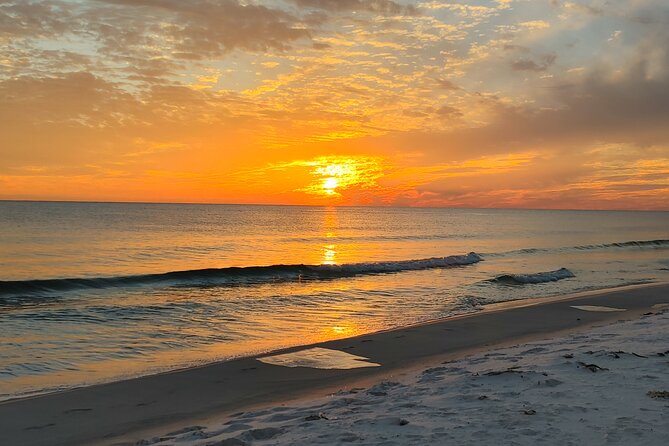 2-Hour Private Sightseeing Dolphin Tour in Panama City Beach - What you get on board, plus the no-glass rule