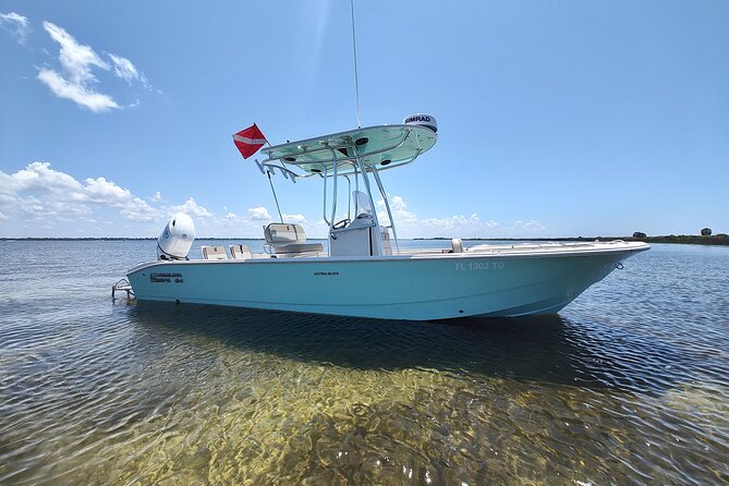 2-Hour Private Sightseeing Dolphin Tour in Panama City Beach - Shell Island time: white-sand beach walking and shell hunting