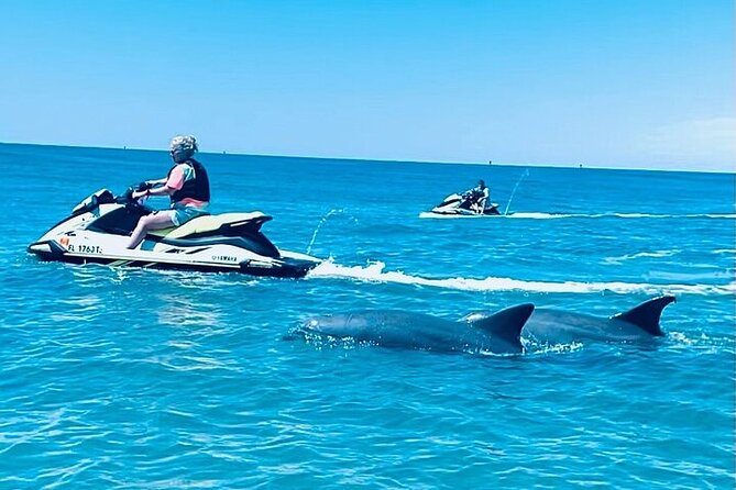 2 Hour Shell Island Jet Ski Dolphin Tour - Key Highlights That Matter