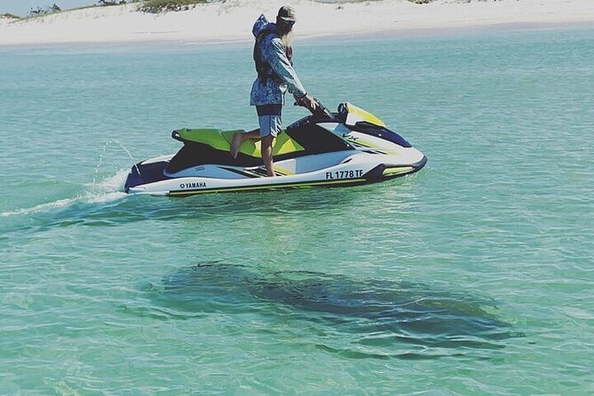 2 Hour Shell Island Jet Ski Dolphin Tour - Jet Skiing to Shell Island From Panama City Beach