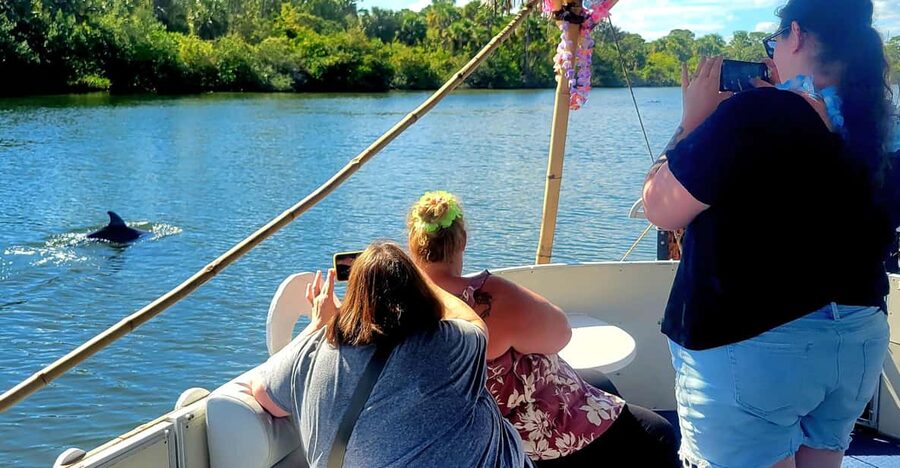 2 Hour Tiki Dolphin Sightseeing Tour in Cocoa Beach - Meeting point and timing: Cape Crossing Marina in the real world