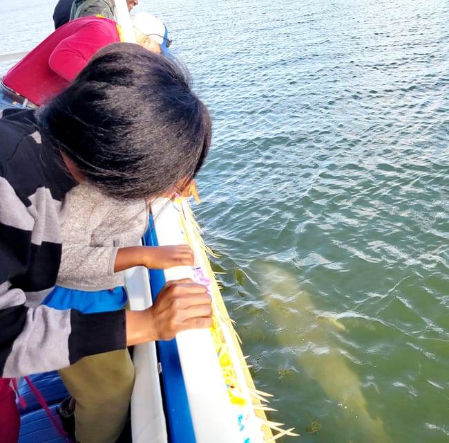 2 Hour Tiki Dolphin Sightseeing Tour in Cocoa Beach - Dolphins close up: camera expectations without overpromising