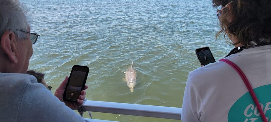 2 Hour Tiki Dolphin Sightseeing Tour in Cocoa Beach - Price and value: is $65 for two hours fair?
