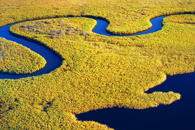 2 Hours Dolphin Eco Tour - A 2-Hour Lowcountry Reset on the Savannah River