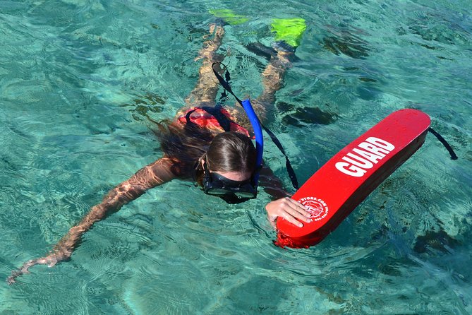 2-Hours Dolphin Excursion in Mauritius - Included gear and the value of real guidance