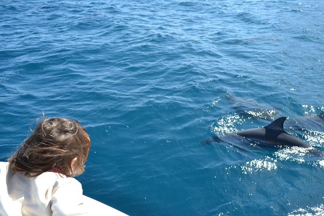 2-Hours Dolphin Excursion in Mauritius - Meeting at JPH Charters: what your morning looks like