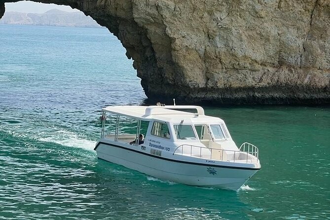 2 Hours Dolphin Watching Cruise in Muscat - Dolphin species in Oman waters you can watch for