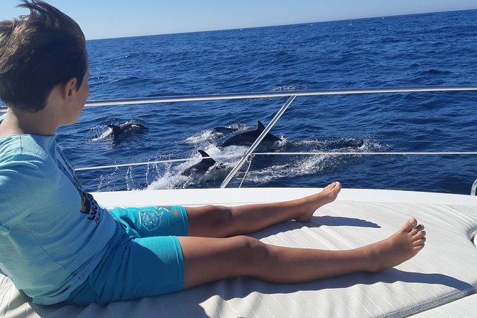 2 Hours Dolphin Watching in Marbella - Key Things That Make This Marbella Dolphin Cruise Worth It