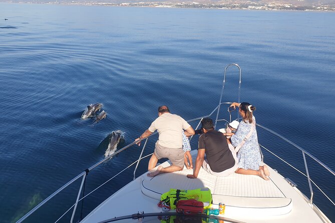 2 Hours Dolphin Watching in Marbella - Marbella Dolphin Cruise Basics: Time, Boat Vibe, and Who It Suits