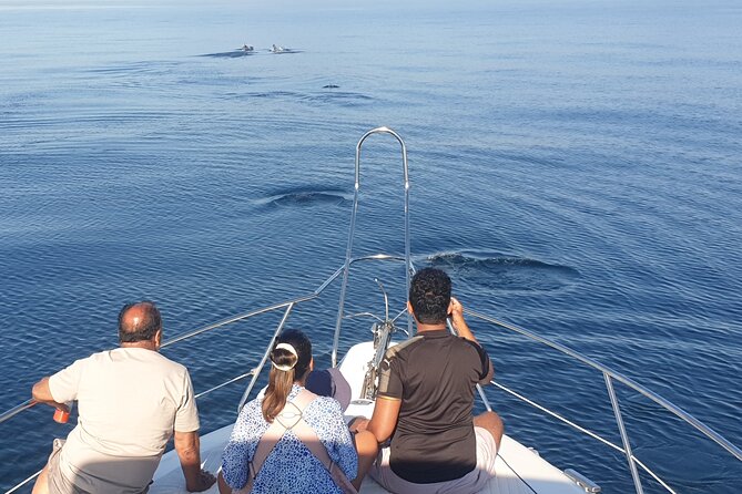 2 Hours Dolphin Watching in Marbella - Snorkeling for Fish Plus Paddle Surfing: Keeping the Time Lively