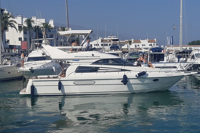 2 Hours Dolphin Watching in Marbella - Snacks, Drinks, and the Kind of Crew Attention You Actually Notice