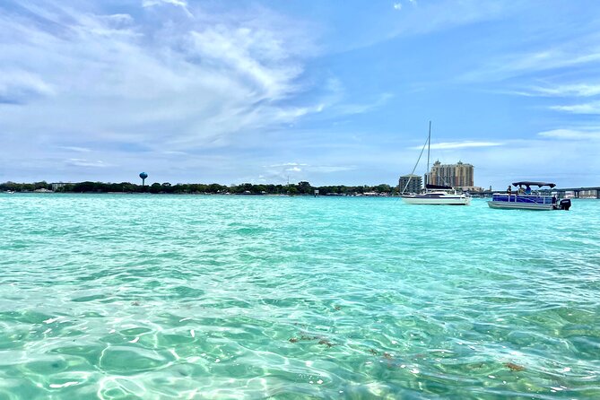 2 Hours Guided Dolphin Tour in Florida - Key Things to Know Before You Go