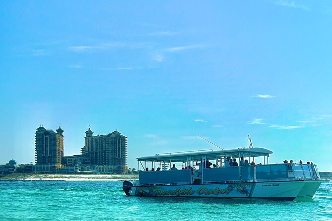 2 Hours Guided Dolphin Tour in Florida - The 45-Foot Catamaran: What You’re Really Buying for $38