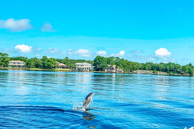 2 Hours Guided Dolphin Tour in Florida - Your 2-Hour Rhythm: Out to the Gulf, Back Through Crab Island