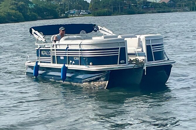 2 Hr Dolphin Melbourne, Merritt Island ,Cocoa Beach.1030 am - Key things to know before you go