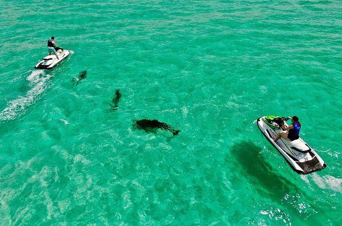2 Passenger Jet Ski Dolphin Tour from Gilligan’s Watersports - Jet Skiing With No Experience: What You Should Expect