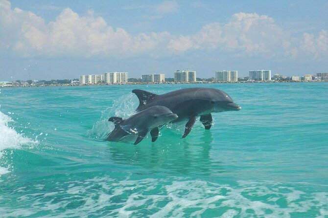 2-Stop Snorkeling and Dolphin Cruise from Destin - Stop One: Destin Jetty’s Snorkeling for Fish, Crabs, and Surprise Encounters