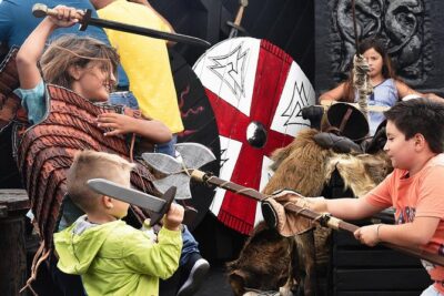2h Viking Cruise Whales & Dolphins Watching - The “Viking” theme isn’t just costumes
