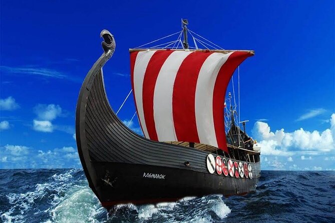 2h Viking Cruise Whales & Dolphins Watching - The south-coast scenery and the best photo moments