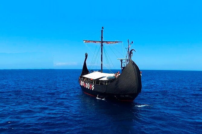 2h Viking Cruise Whales & Dolphins Watching - Logistics that actually matter: meeting point and timing