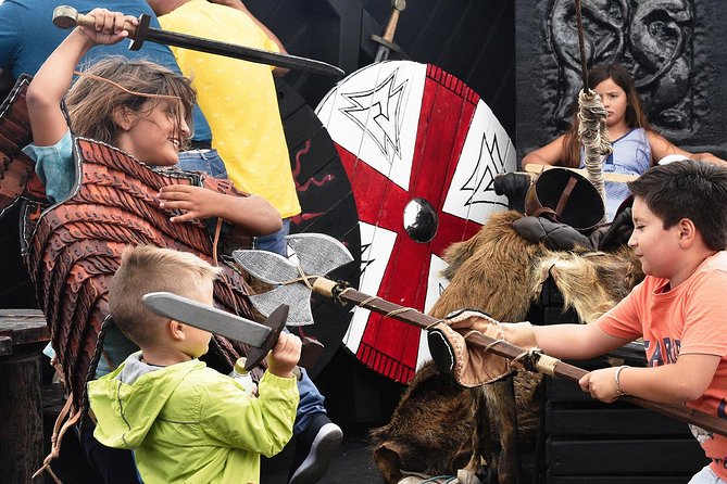 2h Viking Cruise Whales & Dolphins Watching - The “Viking” theme isn’t just costumes