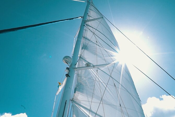 2hrs Dolphins Sunset Sailing Cruise With Drink - Choppy Water, Wind, and Why a Jacket Matters More Than You Think