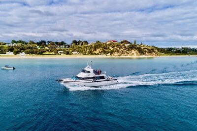 3-Hour Dolphin and Seal Sightseeing Cruise, operated with swim tour passengers - The Port Phillip Bay route: Heads, The Rip, and Popes Eye Marine Park