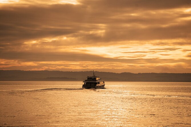 3-Hour Dolphin and Seal Sightseeing Cruise, operated with swim tour passengers - Weather and sea conditions: simple things that affect your day