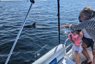 3 Hour Dolphin Private Guided Tour By A Marine Biologist - Key points to know before you book