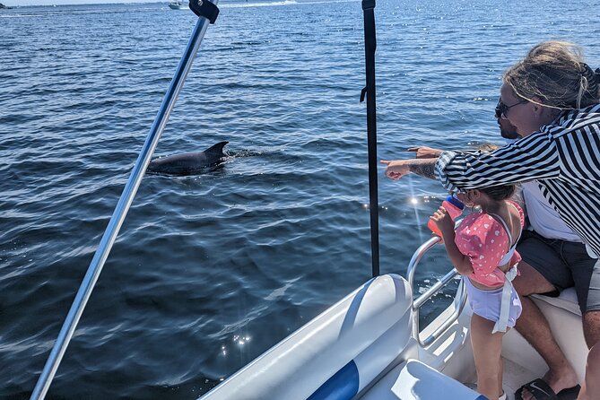 3 Hour Dolphin Private Guided Tour By A Marine Biologist - Key points to know before you book