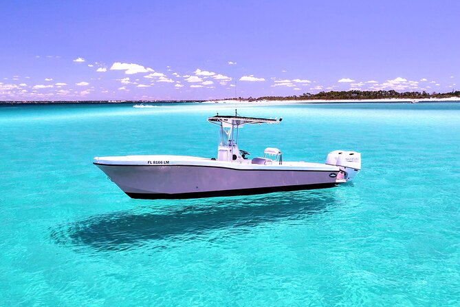 3 Hour Dolphin Tour and Snorkeling in Shell Island - Key Points I’d Plan Around