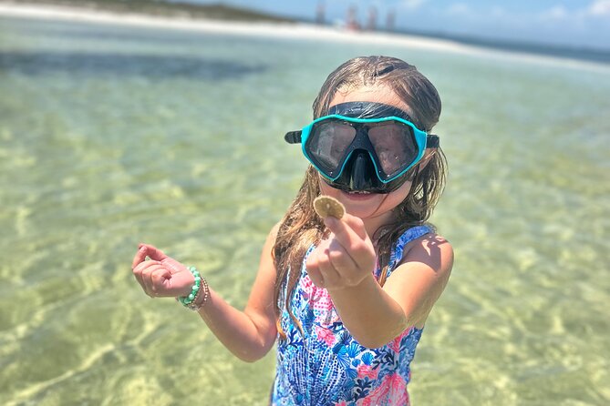 3 Hour Dolphin Tour and Snorkeling in Shell Island - Snorkeling for Sand Dollars and Starfish (Gear Included)