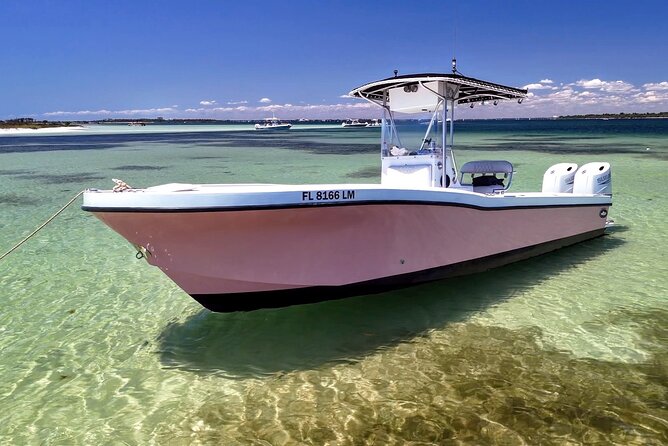 3 Hour Dolphin Tour and Snorkeling in Shell Island - Price and Value: $400 Per Group (Up to Six) for a 3-Hour Private Day