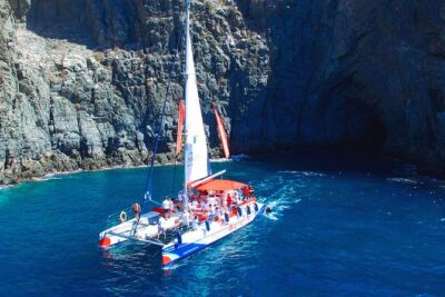 3-hour Whale and Dolphin Watching and Listening Tour - Key Highlights You’ll Actually Care About