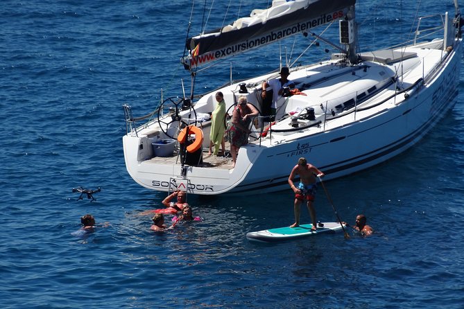3 Hours All Inclusive Whale and Dolphin Whatching Yacht Trip - Shared vs Private: How to Choose Your Style