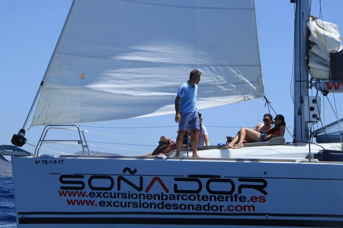 3 Hours All Inclusive Whale and Dolphin Whatching Yacht Trip - Price and Value for a $52.36 Yacht Ticket