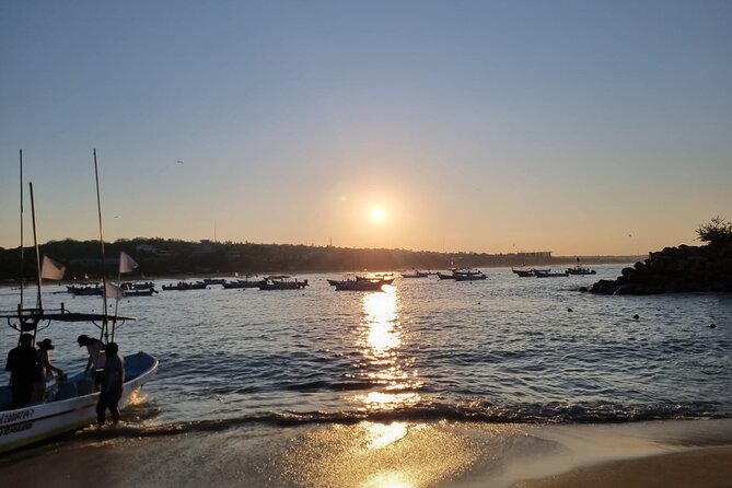 3-Hours Dolphin and Turtle Watching in Puerto Escondido - How sunrise changes the whole vibe