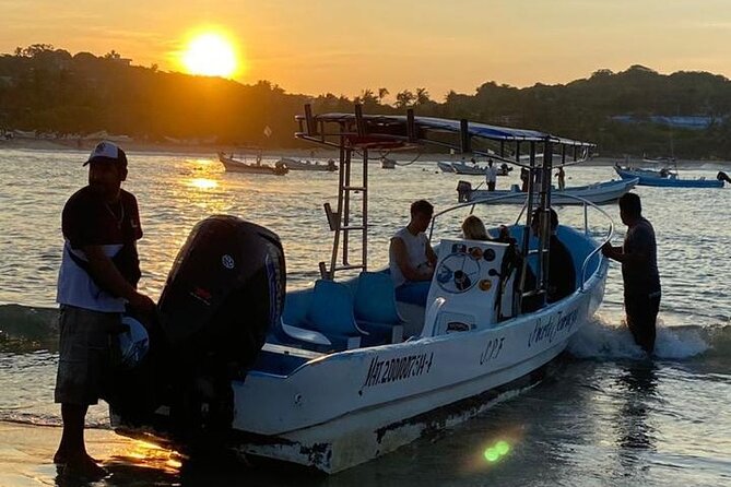 3-Hours Dolphin and Turtle Watching in Puerto Escondido - What to do in the moment once you’re on the water