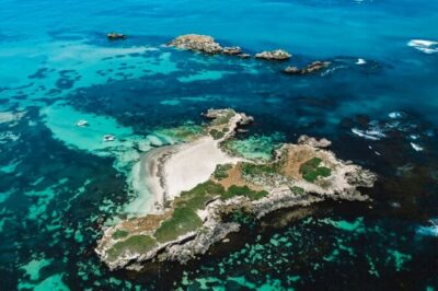 3 Island Wildlife Snorkel - Price and what drives it (it’s not just a quick swim)
