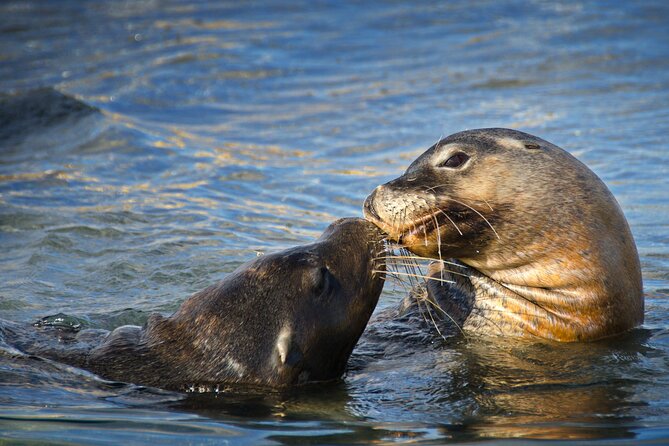 3 Island Wildlife Snorkel - Getting ready onboard: gear help makes or breaks snorkel trips