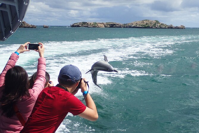 3 Island Wildlife Snorkel - What the onboard food does for your trip