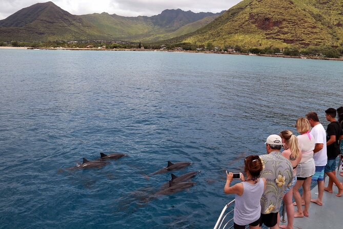 3 Zipline Adventure and 3.5 hour Afternoon Snorkel Cruise - Key Reasons This Combo Works So Well