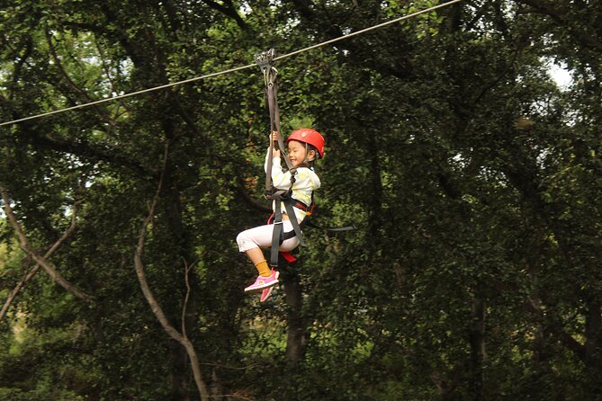3 Zipline Adventure and 3.5 hour Afternoon Snorkel Cruise - Price and Value: What Your $232.89 Gets You