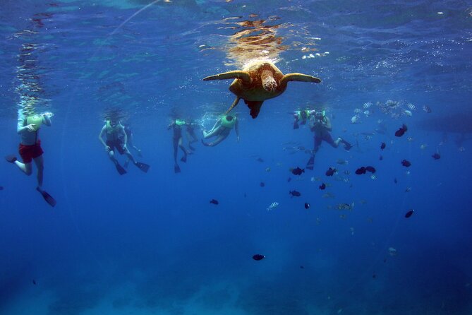 3 Zipline Adventure and 3.5 hour Afternoon Snorkel Cruise - Who Should Book This Zipline + Snorkel Day